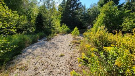 Lot 23 Bay Road Jonesboro ME 04648