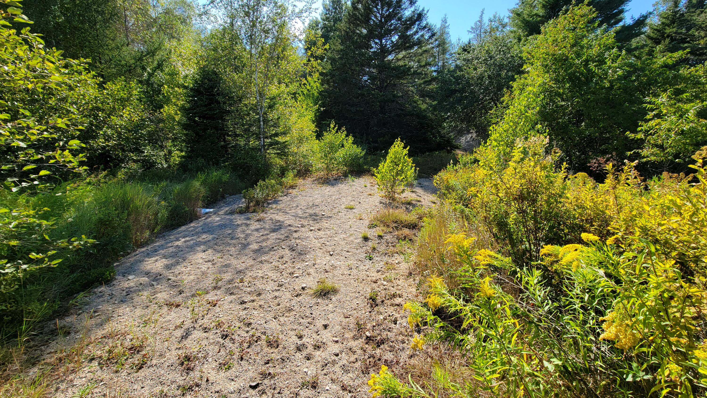 Lot 23 Bay Road Jonesboro ME 04648