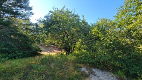 Lot 23 Bay Road Jonesboro ME 04648