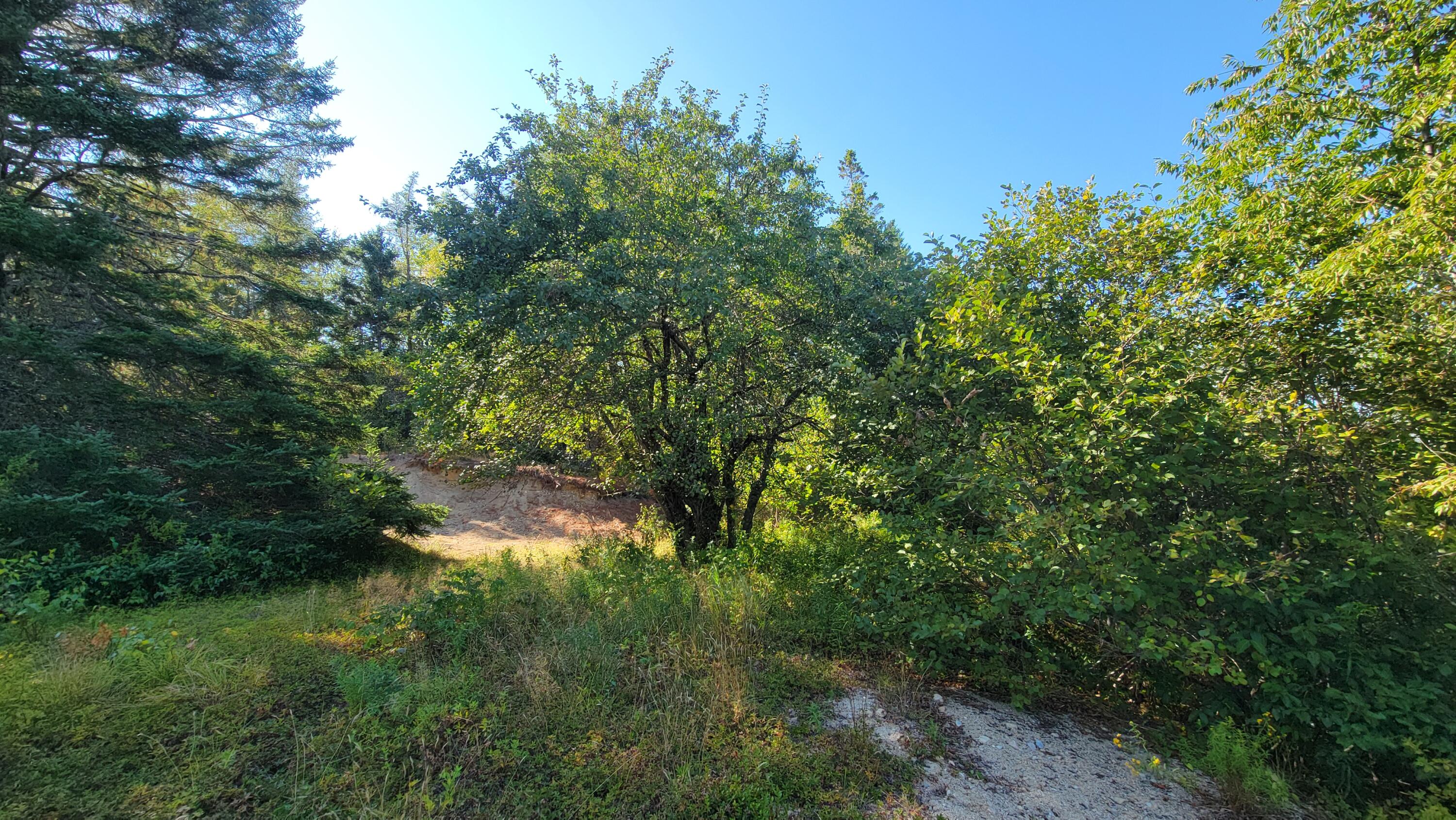 Lot 23 Bay Road Jonesboro ME 04648