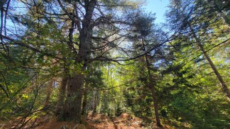 Lot 23 Bay Road Jonesboro ME 04648