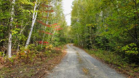 Lot 26 Wolf Run Trail Greenbush ME 04418