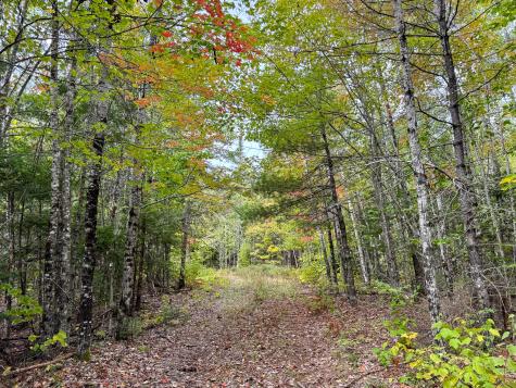 Lot 26 Wolf Run Trail Greenbush ME 04418