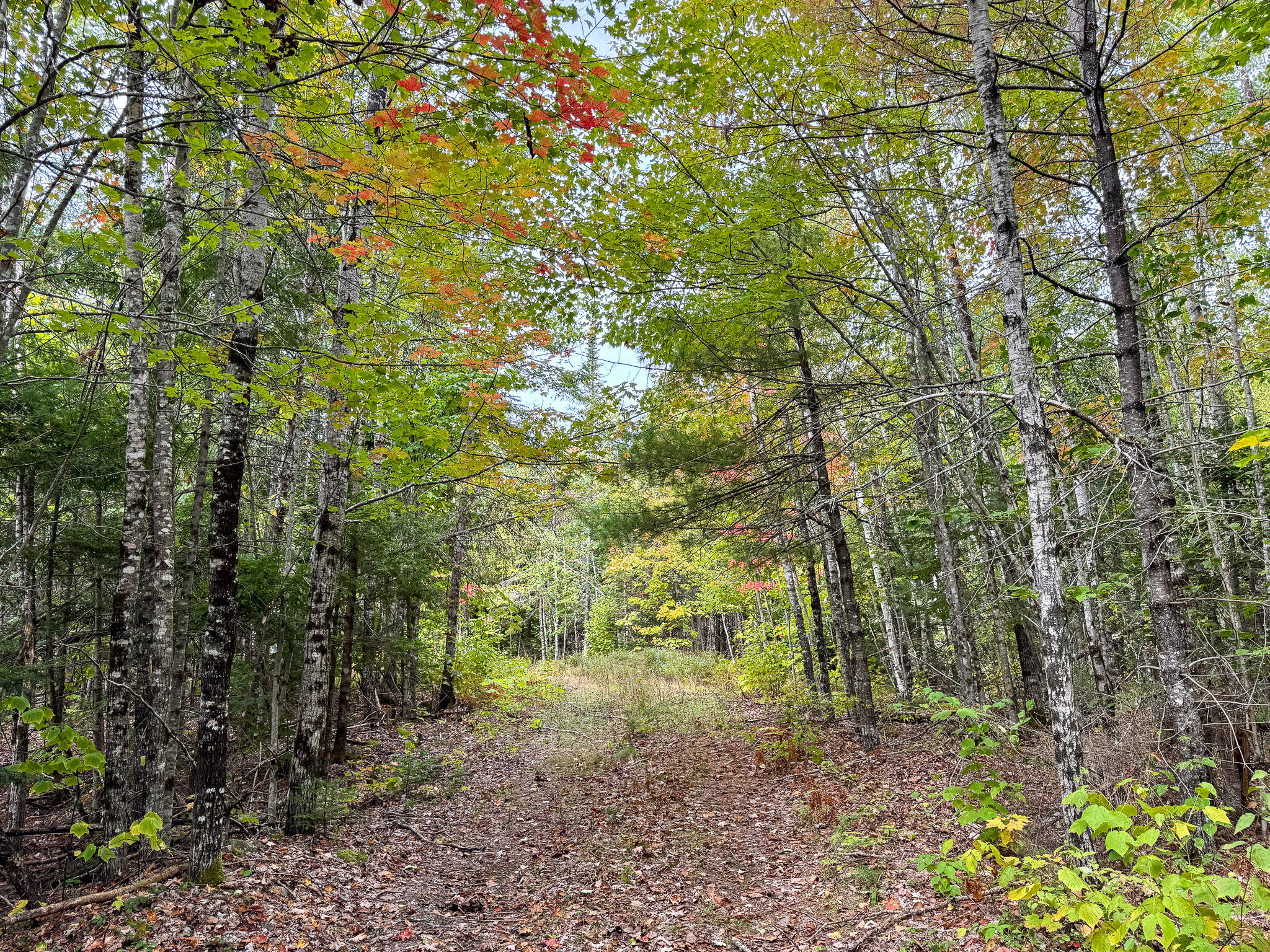 Lot 26 Wolf Run Trail Greenbush ME 04418
