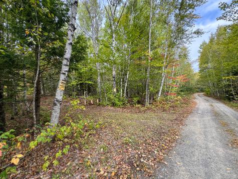 Lot 26 Wolf Run Trail Greenbush ME 04418