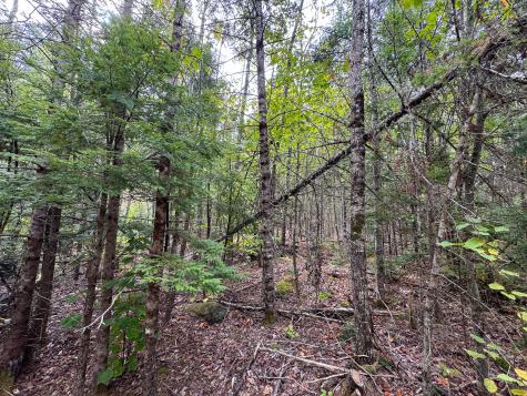 Lot 26 Wolf Run Trail Greenbush ME 04418