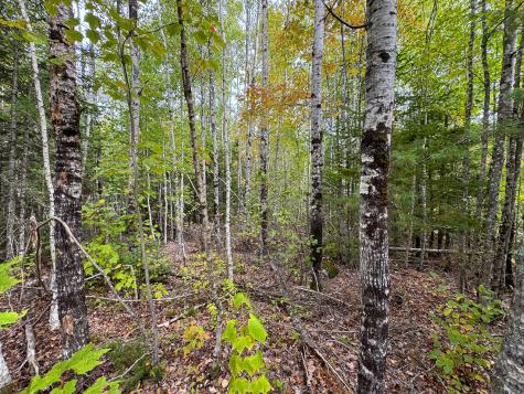 Lot 26 Wolf Run Trail Greenbush ME 04418