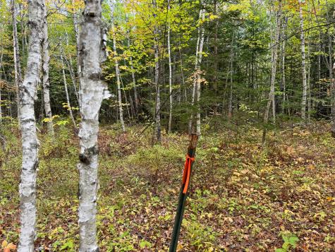 Lot 26 Wolf Run Trail Greenbush ME 04418