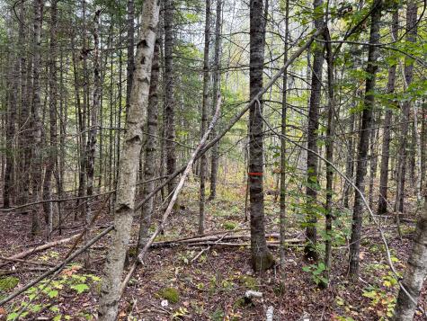 Lot 26 Wolf Run Trail Greenbush ME 04418