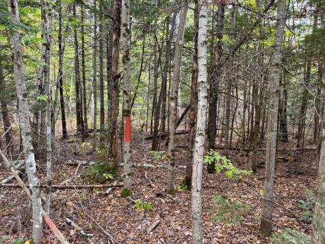 Lot 26 Wolf Run Trail Greenbush ME 04418