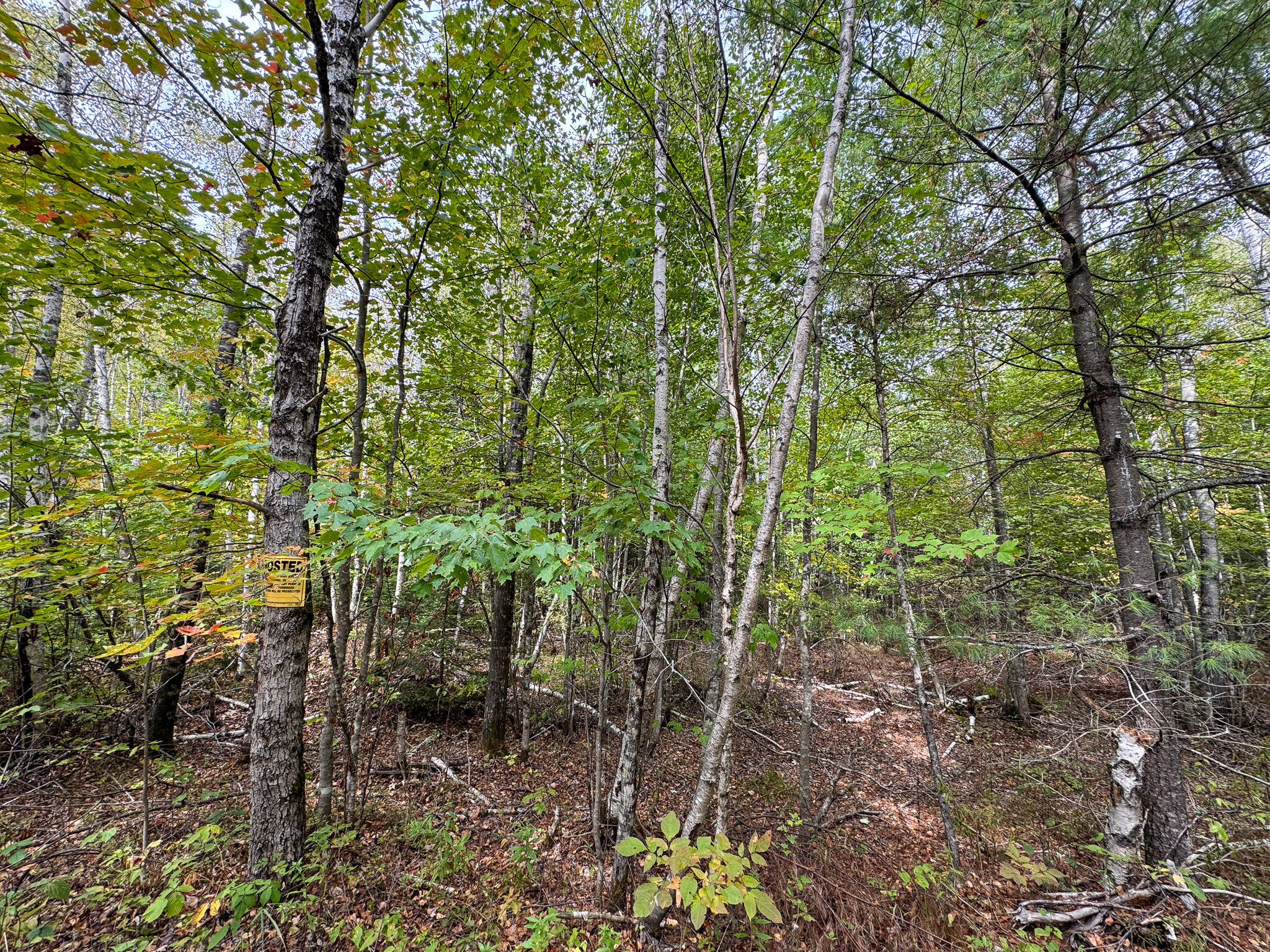 Lot 26 Wolf Run Trail Greenbush ME 04418