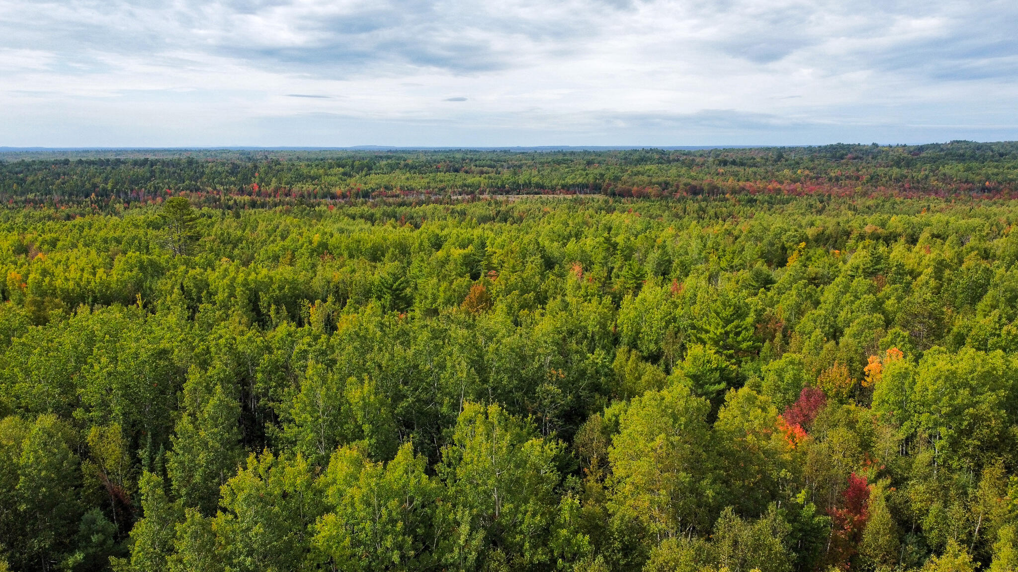 Lot 26 Wolf Run Trail Greenbush ME 04418