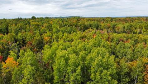 Lot 26 Wolf Run Trail Greenbush ME 04418