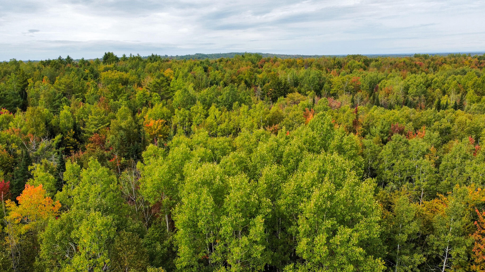 Lot 26 Wolf Run Trail Greenbush ME 04418