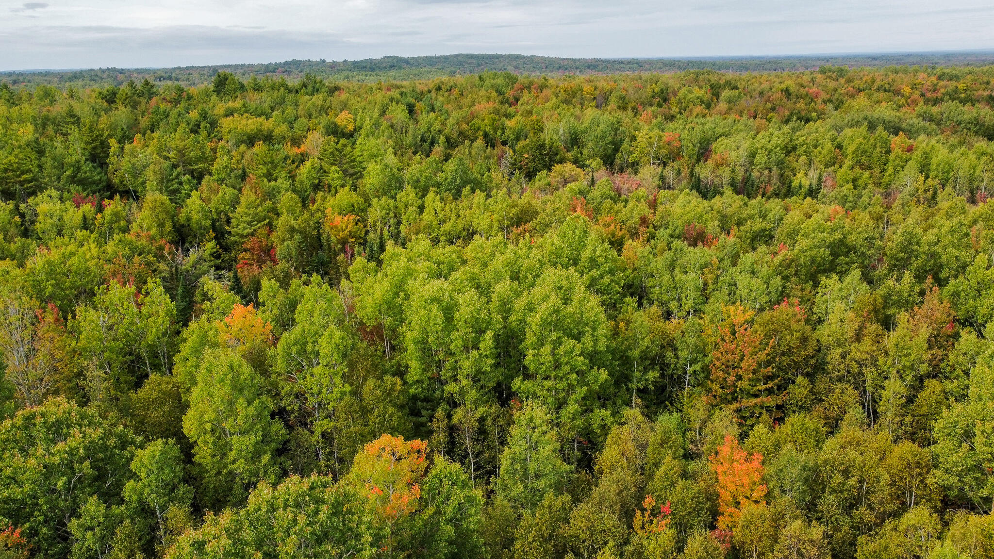 Lot 26 Wolf Run Trail Greenbush ME 04418