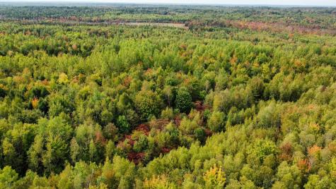 Lot 26 Wolf Run Trail Greenbush ME 04418