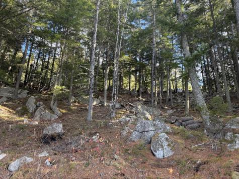 15-54 Cottage Shore Drive Holden ME 04429