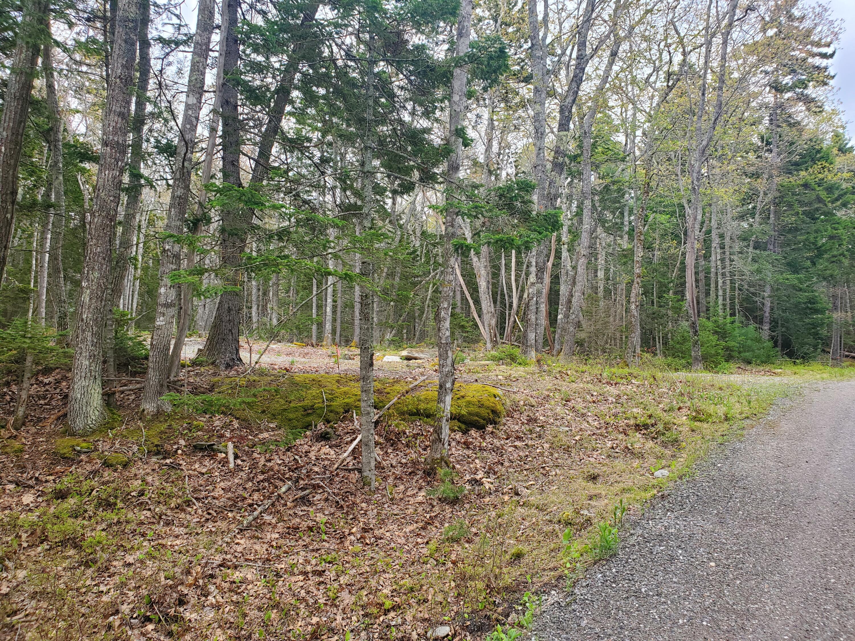 36 Eastwood Court Bristol ME 04539