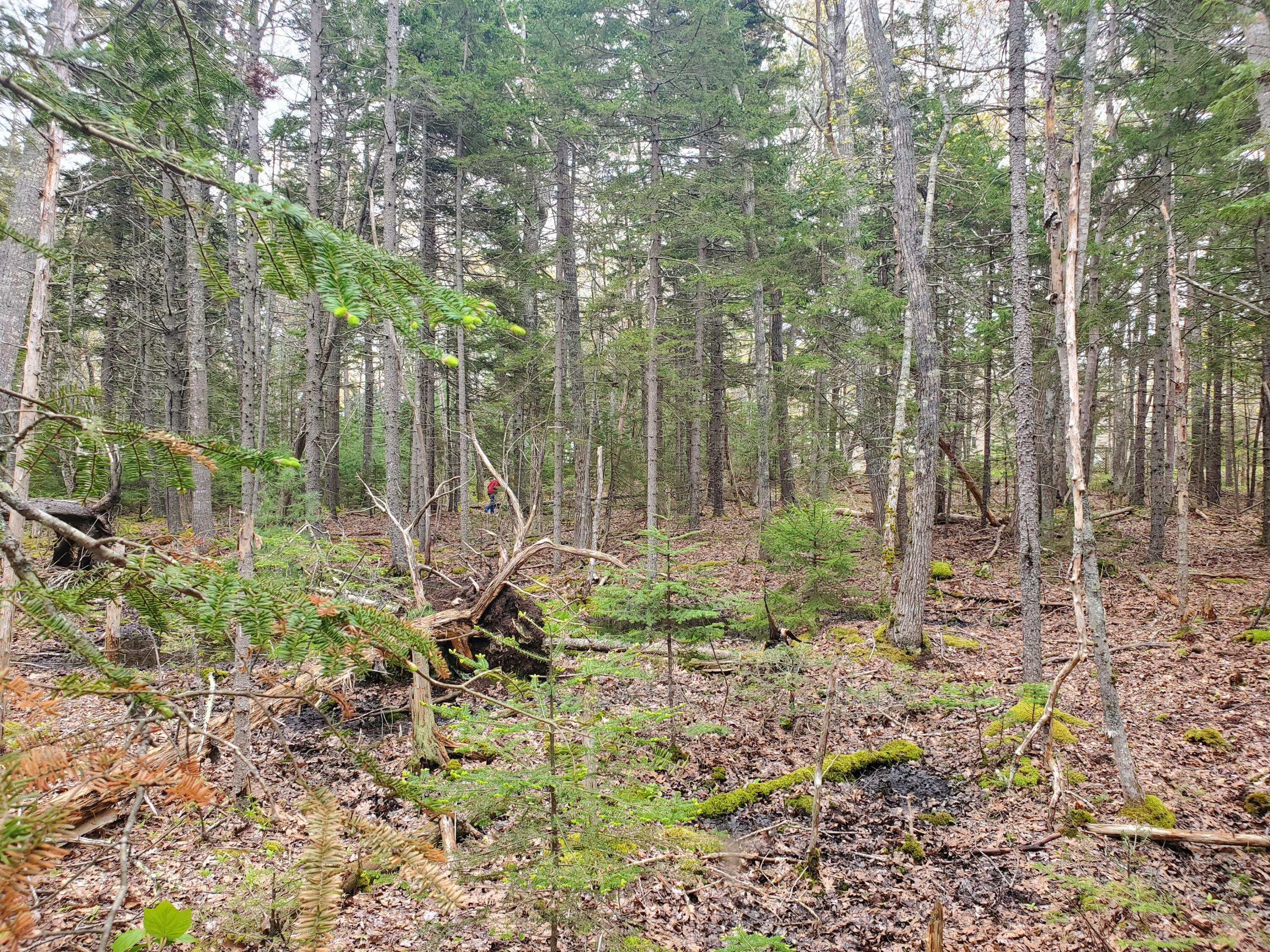 36 Eastwood Court Bristol ME 04539