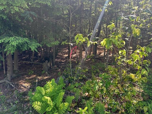 Lot #8 Bonnie Way Winterport ME 04496
