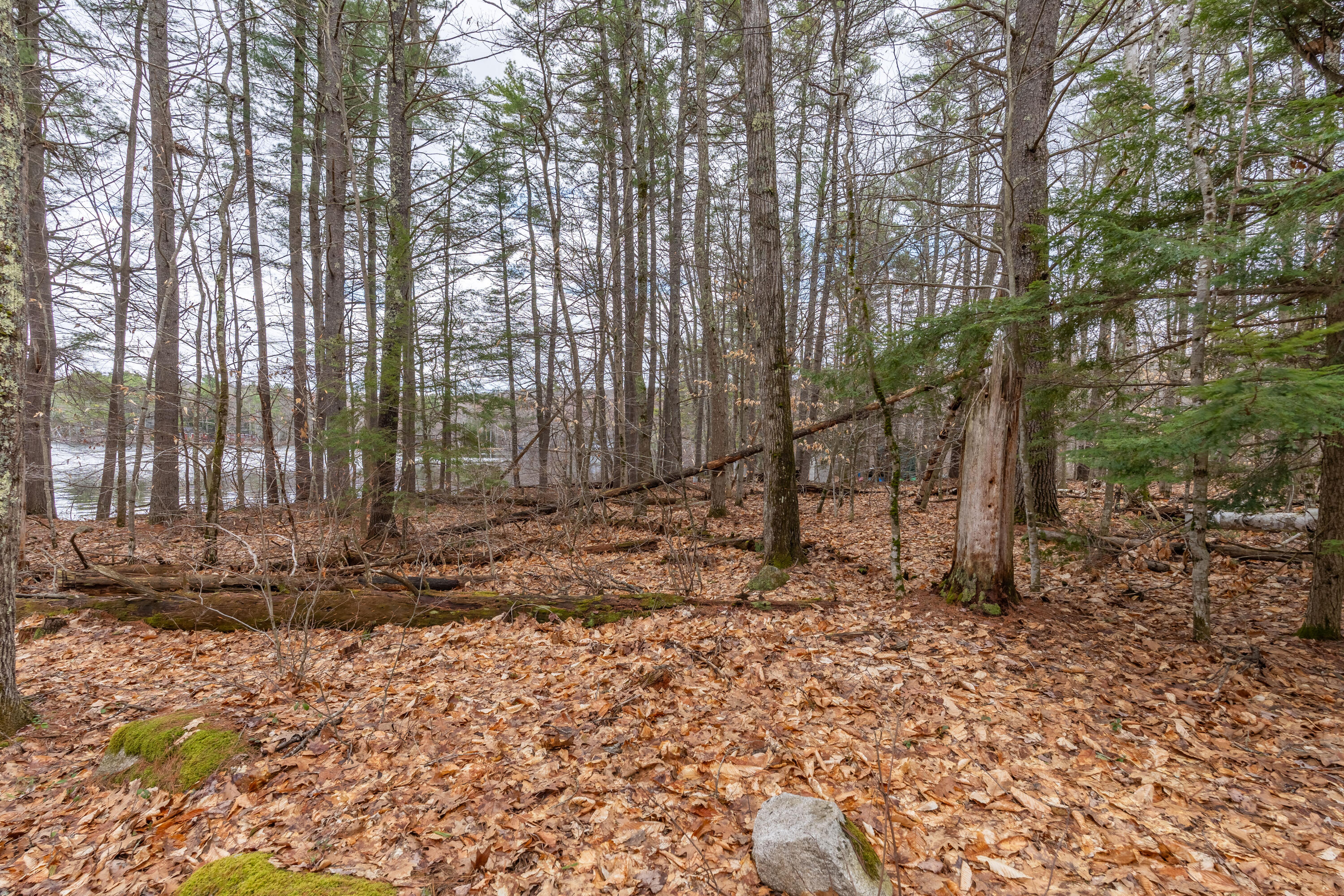 0 Gladstone Drive Raymond ME 04071