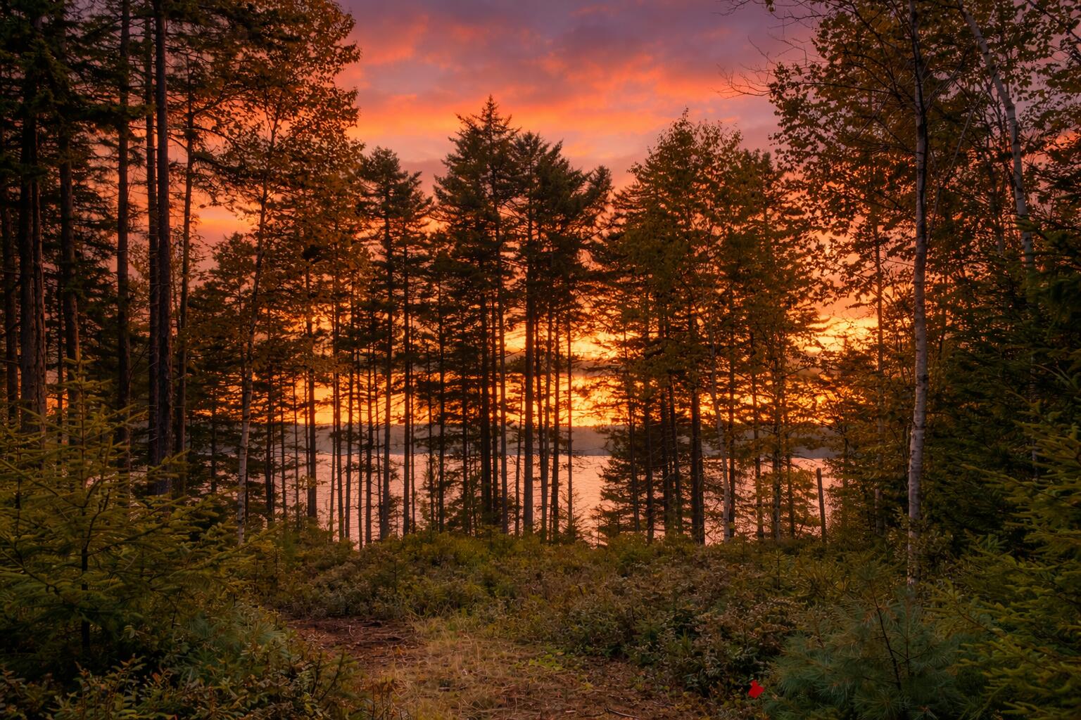 16 Fox Run Greenville ME 04441