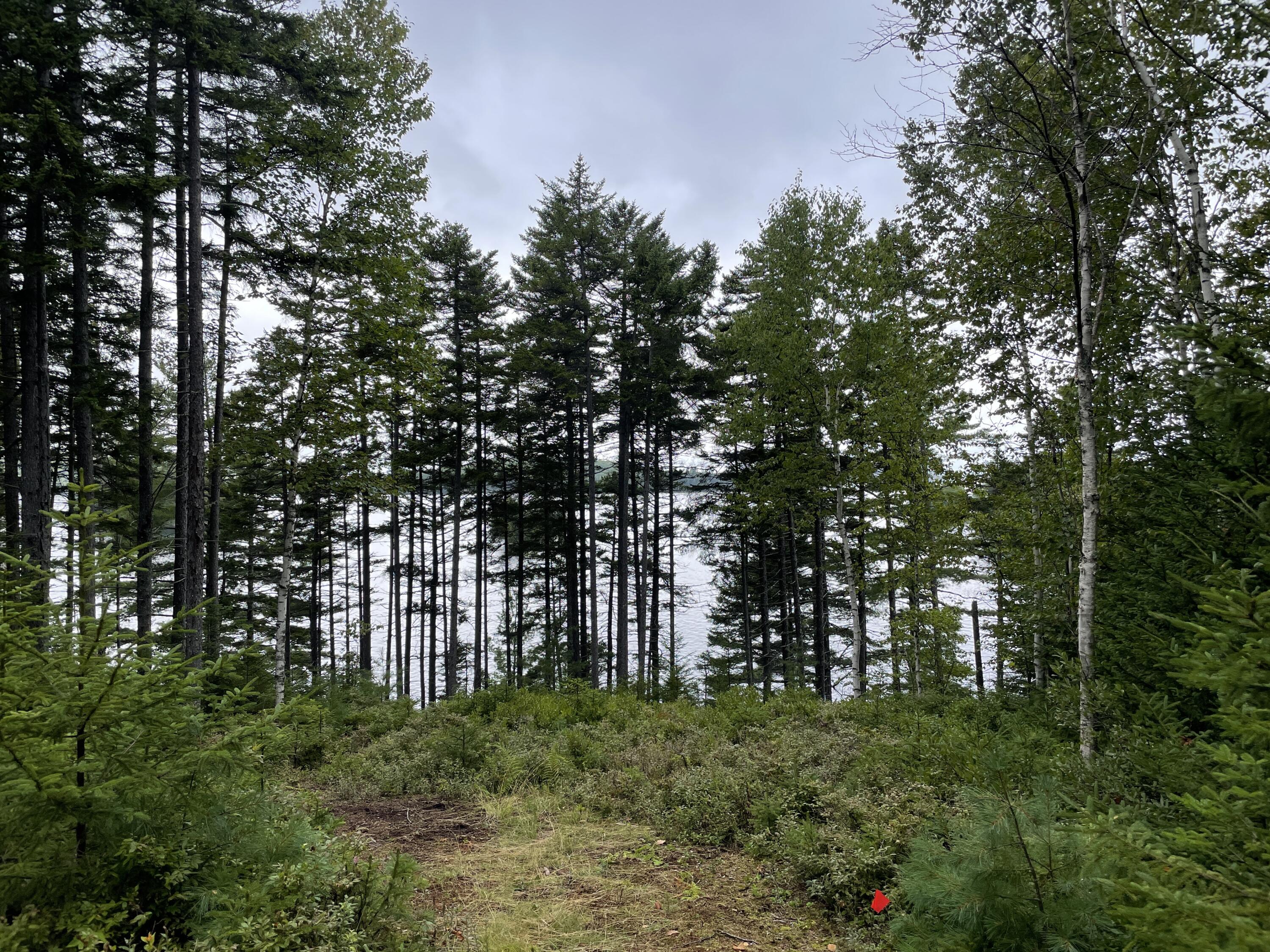 16 Fox Run Greenville ME 04441