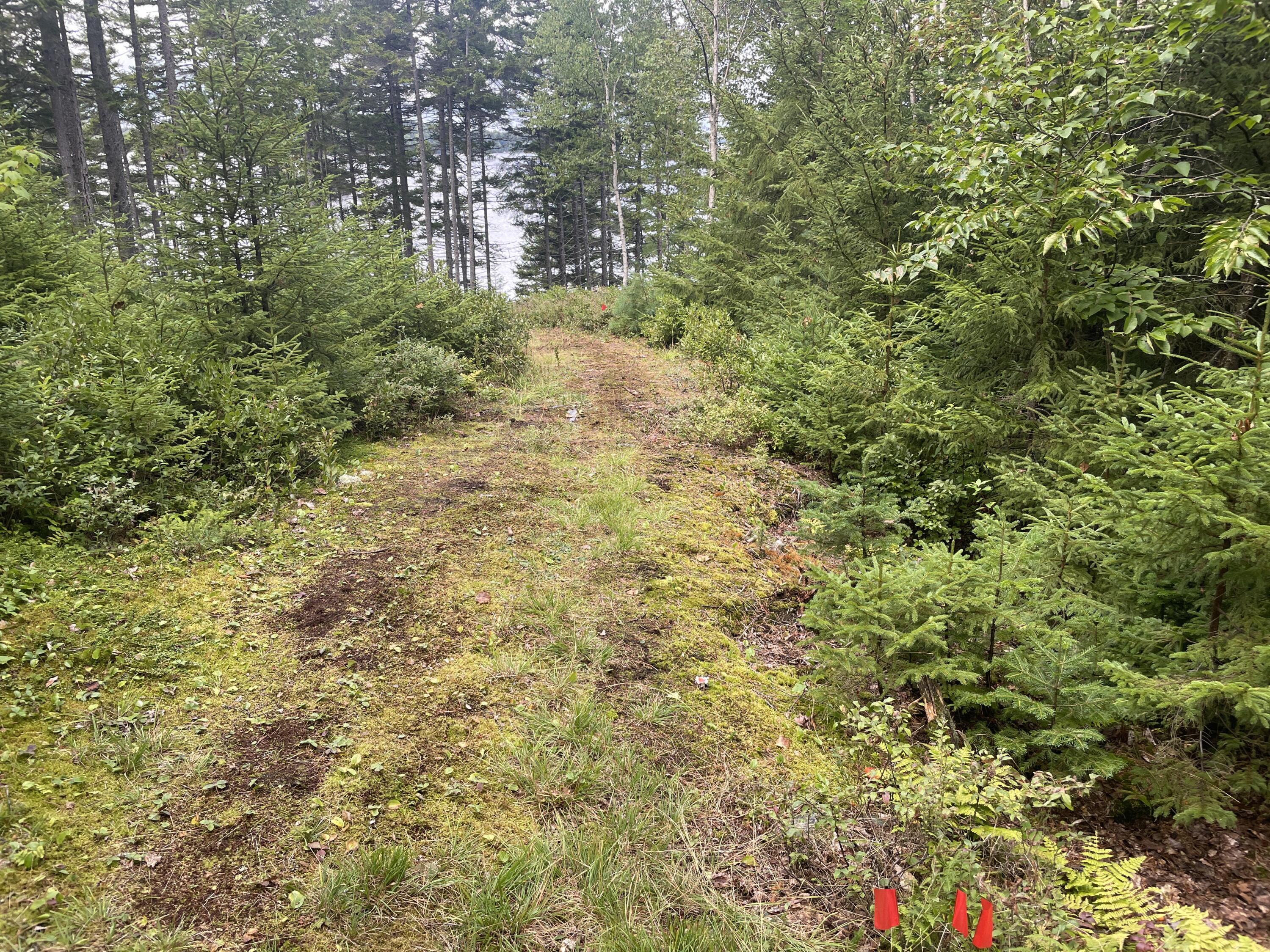 16 Fox Run Greenville ME 04441