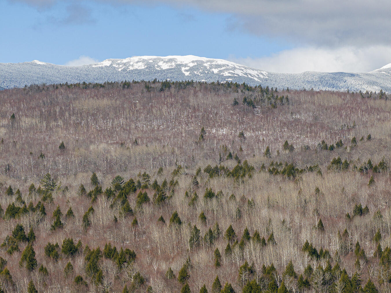 Lot 2-1 Lower Vose Road Kingfield ME 04947