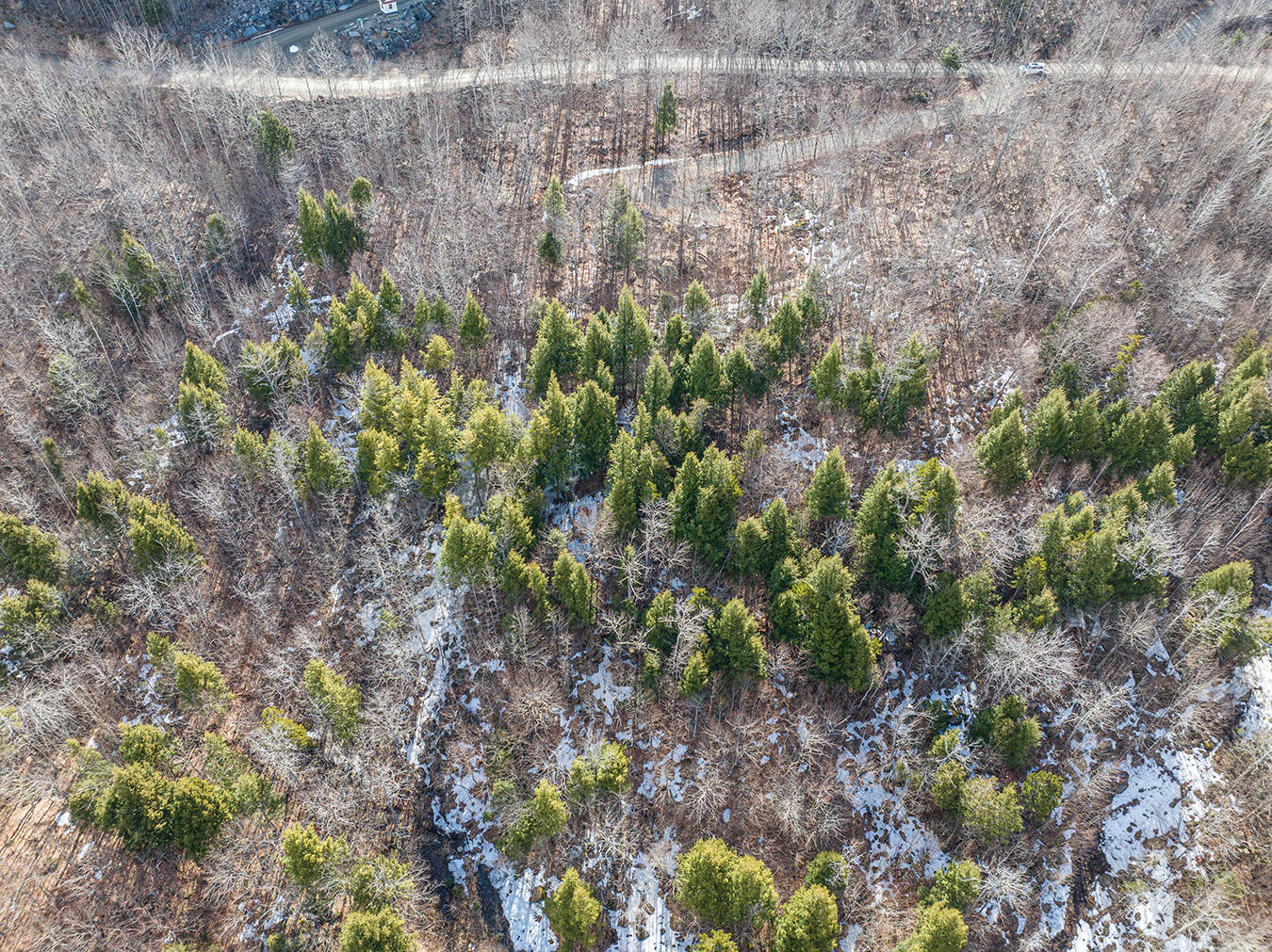 Lot 2-1 Lower Vose Road Kingfield ME 04947