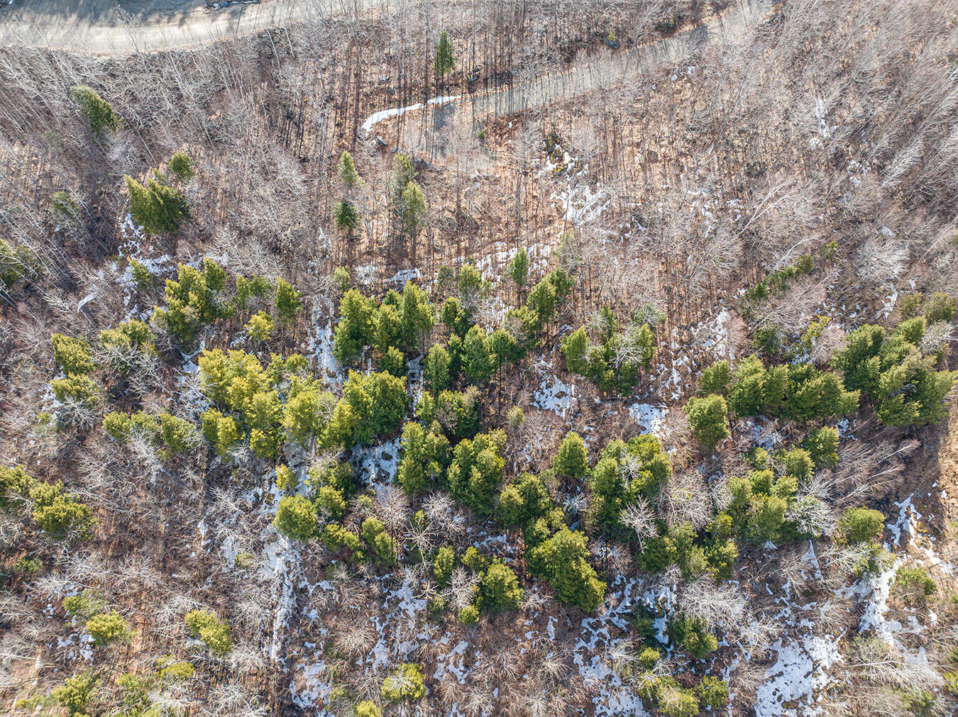 Lot 2-1 Lower Vose Road Kingfield ME 04947