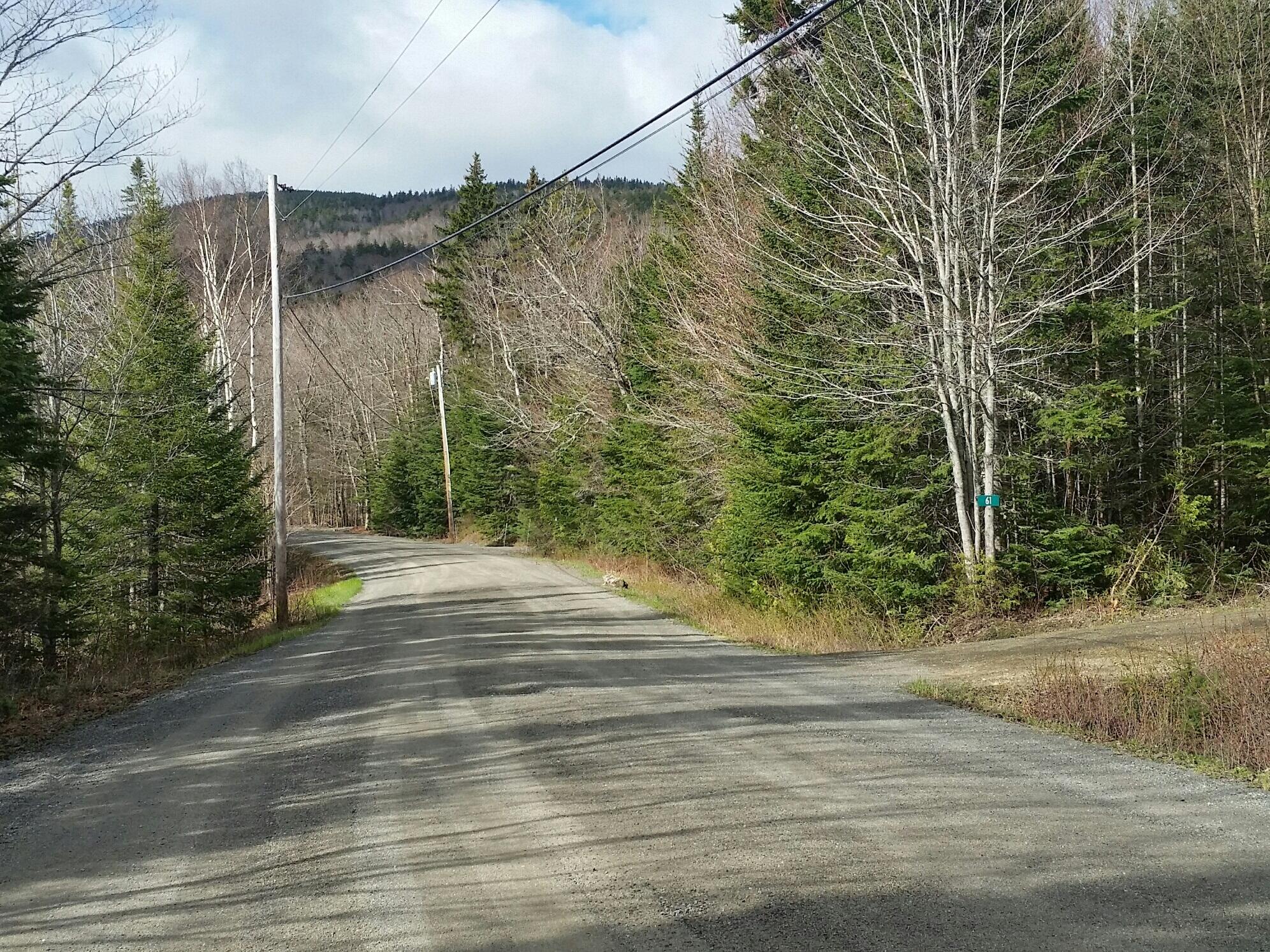 Detail View Noyes Real Estate Agency