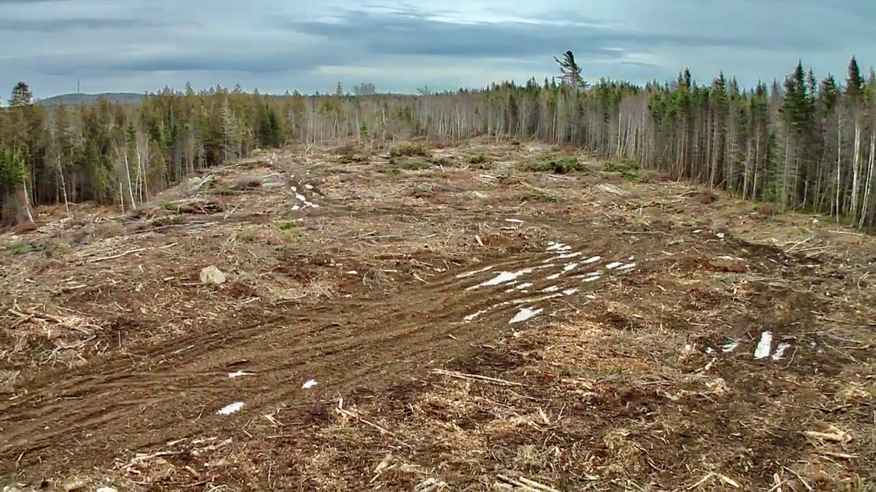 L1 Lively Brook Acres Whiting ME 04691