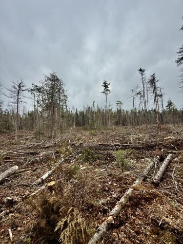 L1 Lively Brook Acres Whiting ME 04691