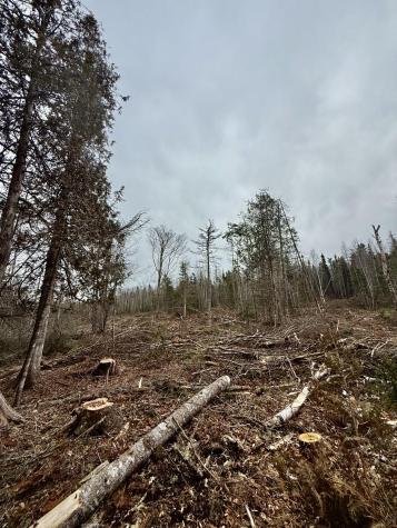 L1 Lively Brook Acres Whiting ME 04691