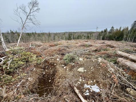 L1 Lively Brook Acres Whiting ME 04691