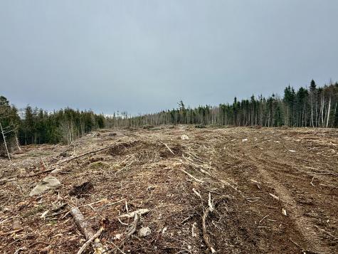 L1 Lively Brook Acres Whiting ME 04691