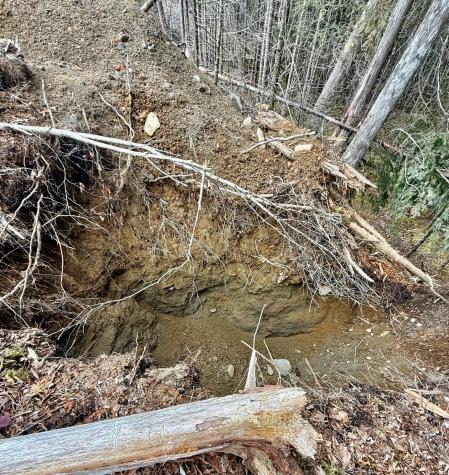 L1 Lively Brook Acres Whiting ME 04691