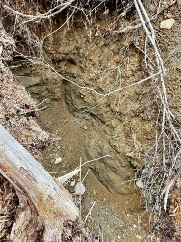 L1 Lively Brook Acres Whiting ME 04691