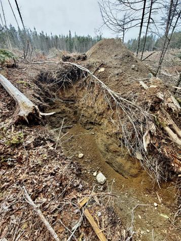 L1 Lively Brook Acres Whiting ME 04691