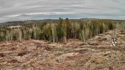 L1 Lively Brook Acres Whiting ME 04691