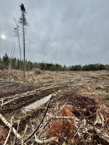 L1 Lively Brook Acres Whiting ME 04691