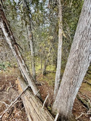 L1 Lively Brook Acres Whiting ME 04691