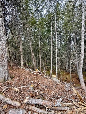 L1 Lively Brook Acres Whiting ME 04691