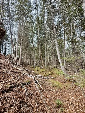 L1 Lively Brook Acres Whiting ME 04691