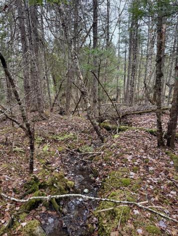 L1 Lively Brook Acres Whiting ME 04691