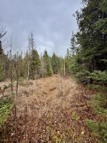 L1 Lively Brook Acres Whiting ME 04691