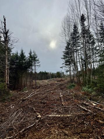 L1 Lively Brook Acres Whiting ME 04691