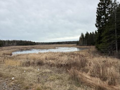 L1 Lively Brook Acres Whiting ME 04691