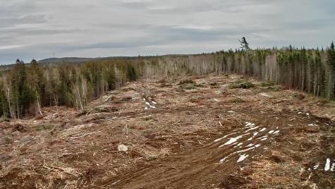 L1 Lively Brook Acres Whiting ME 04691